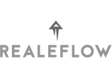 Realflow